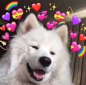 Meet your Posher, Irs